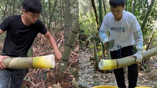 Chopping Bamboo Shoots the Professional Way [upl. by Isleana]