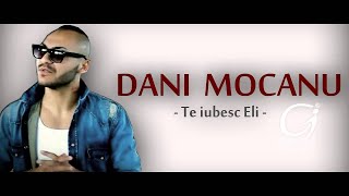 DANI MOCANU  Te iubesc Eli  Official Audio [upl. by Eioj]