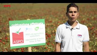 Il pomodoro da agricoltura sostenibile certificata – in sintesi [upl. by Strephon400]