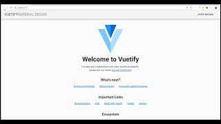 Why You Should Use Vue amp Vuetify [upl. by Lise]