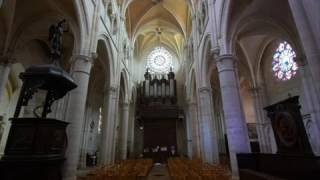 Creator Alme Siderum à Clamecy avec Michel Chapuis [upl. by Jovitta241]