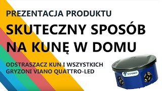 Skuteczny sposób na kunę w domu Jak pozbyć się myszy i szczurów [upl. by Gillespie]