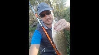 Pecanje Skobalja na hlebna plovak  GoPro Fishing HD  Reka Nisava [upl. by Hallsy]