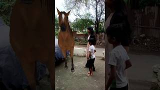 mujhe horse riding karni hai😲🤣🤣🤣 [upl. by Atinahs836]