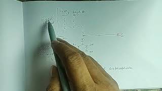 GPCR Phospholipase C  IP3DAG Pathway [upl. by Llertac803]