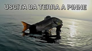 Pescasub PESCIONE DA RIVA  Spearfishing  AKASO [upl. by Casteel938]