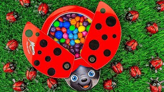 Satisfying ASMR  Mixing Rainbow Candy amp Colorful MampMs with LadyBug Full of Skittles Slime Cutting [upl. by Chlores]