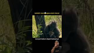 Ini akibatnya jika berani menyentuh anak macan animals satwa satwaunik satwaliar wildlife [upl. by Nasar]