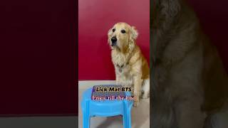 Behind the Scenes of Dog Lick Mat dogshorts goldenretriever pets zara interactivetoys cheese [upl. by Madelle26]