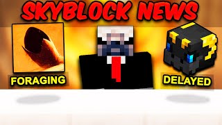 The Admins Did A Goog Thing  Hypixel Skyblock News [upl. by Francisca864]