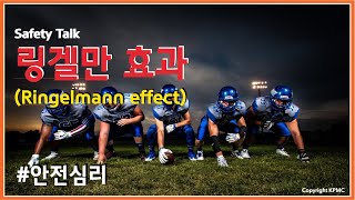 안전심리8 링겔만효과 Ringelmann effect [upl. by Chessa]