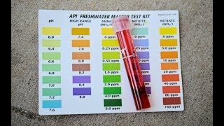 11  Blood Shot Red Nitrates 160 ppm 4K [upl. by Trueblood502]