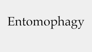 How to Pronounce Entomophagy [upl. by Xenia117]