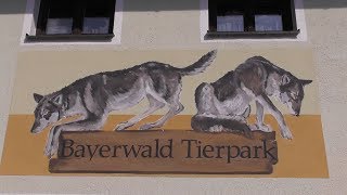 Bayerwald Tierpark in Lohberg [upl. by Adnawahs579]