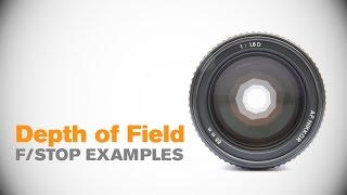 Depth of Field FStop Examples [upl. by Atikram994]