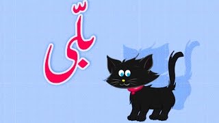 Billi Mein ne Pali Hai Urdu Poem  بلّی اردو نظم [upl. by Cardon]