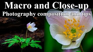 HOW TO USE Macro amp Telephoto lenses for Closeup Photography [upl. by Enneillij]