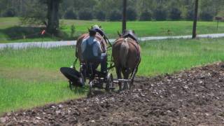 FARMER PLOWING WITH HORSES [upl. by Nymrak455]