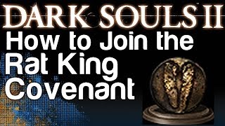 How to Join the Rat King Covenant  Dark Souls 2 Gnawing Covenant Achievement  WikiGameGuides [upl. by Luelle]