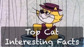 Top Cat Interesting Facts [upl. by Udall]