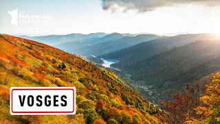 Les Vosges  Cimes et Vallées Verdoyantes  Les 100 lieux quil faut voir  Documentaire complet MG [upl. by Liahkim]