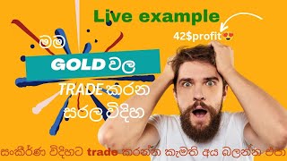 price action sinhala අද මම gold වල කරපු බිස්නස් එක [upl. by Ekyt979]