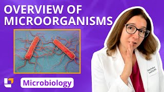 Overview of microorganisms Microbiology for PreMed  Nursing Students ​⁠ leveluprn [upl. by Nyltiak]