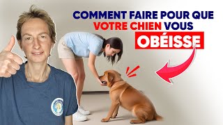 Comment Faire Pour Que Votre Chien Vous Obéisse [upl. by Barret]