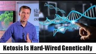 Why Ketosis is Hard Wired Into Our Genetics – Dr Berg [upl. by Jehu]