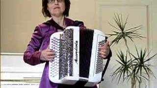 LE DENICHEUR accordeon [upl. by Yajnas]