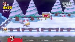 Super Mario 3D World  100 Walkthrough  Parte 05 di 30 [upl. by Elirpa]