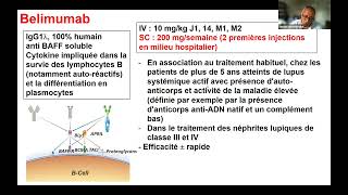 Webinaires école du Lupus  nouveaux traitements Biothérapies et CAR T cells [upl. by Eidua]