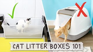 The Best Cat Litter Box Set Up  All About Litter Boxes [upl. by Durnan47]