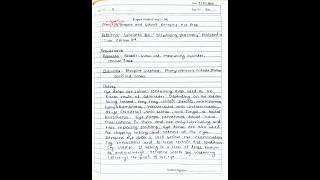 Aim To prepare and submit Atropine eye drops experiment pharmacy industrialpharmacy handwritten [upl. by Narbig938]