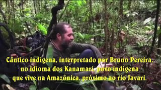 WAHANARARAI  canto indígena Kanamari Bruno Pereira  indigenista [upl. by Hagep]