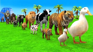 Paint Animals Cow Duck Elephant Tiger Hippo Funny 3d Animal Transformation Crossing Fountain Game [upl. by Arvin]