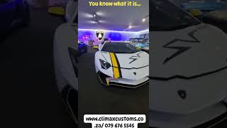 Pinstripes Decals and Underglow everyone automobile Lamborghini luxury underglow sportcars [upl. by Amlev242]