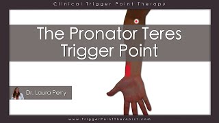 The Pronator Teres Trigger Point [upl. by Kcirrad]