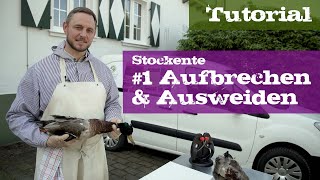 Stockente 1 Aufbrechen und Ausweiden [upl. by New519]