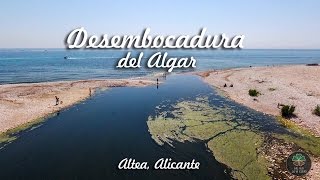 Desembocadura del Algar Altea [upl. by Yllib101]