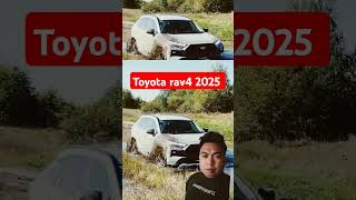 Toyota Rav4 off road Test [upl. by Derfla]