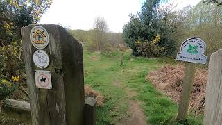 Nidderdale Way Day 6 [upl. by Moritz807]