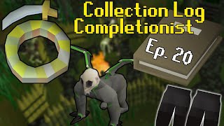 Collection Log Completionist 20 [upl. by Ajdan248]