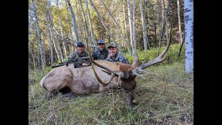 Our DIY Idaho Archery Elk Season 2023 [upl. by Yltsew7]