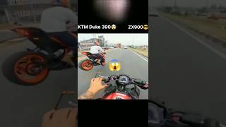 ZX900😱KTM DUKE390shortvideo 🤯 [upl. by Nandor]