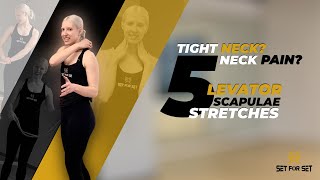 5 Levator Scapulae Stretches to Relieve Neck Tension [upl. by Romanas]