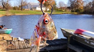 The POND MONSTER Almost STOLE My Rod Biggest of the YEAR [upl. by Aisek]