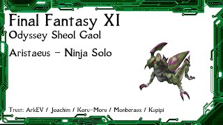 FFXI  Odyssey Sheol Gaol Aristaeus [upl. by Eniawd]