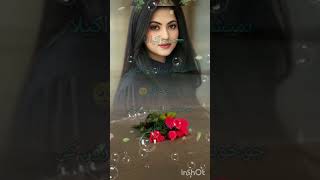 Hamesha vahi Insan Akela rah jata hai 🥺🥀💯 deeplin ❣️sadpoetry urdupoetry short [upl. by Gonsalve]