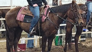 Western Horsemen of Oregon Gameing show with Diamond [upl. by Adnilemreh767]